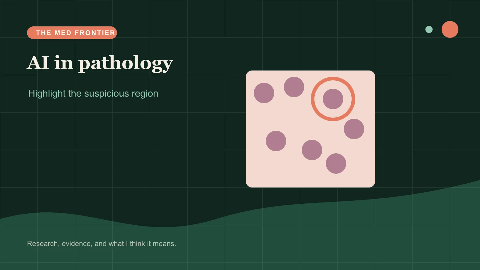Digital pathology slide with a small suspicious region outlined