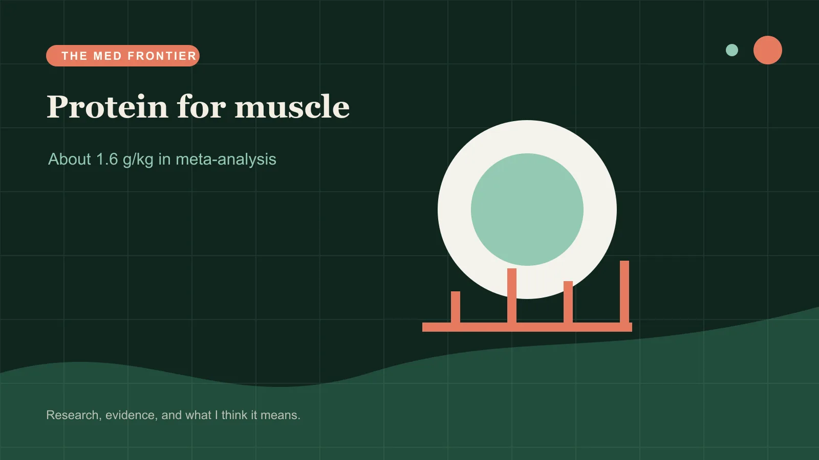 Protein meals and a muscle-growth response curve